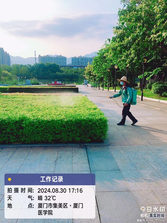 image11.jpeg