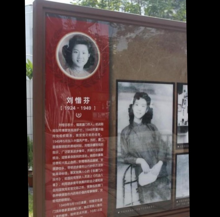 image11.jpeg